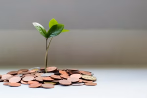 Health Savings Accounts
